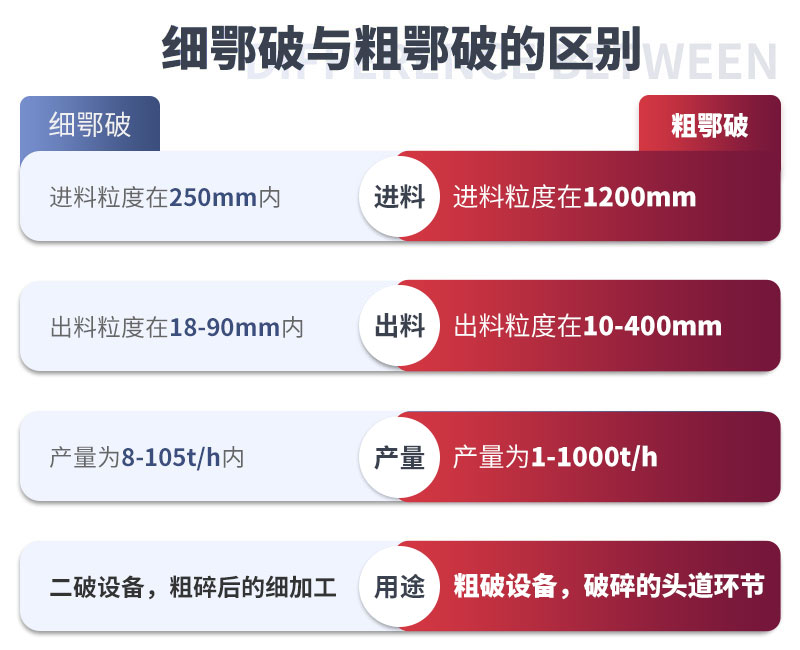  細(xì)顎和粗鄂的區(qū)別